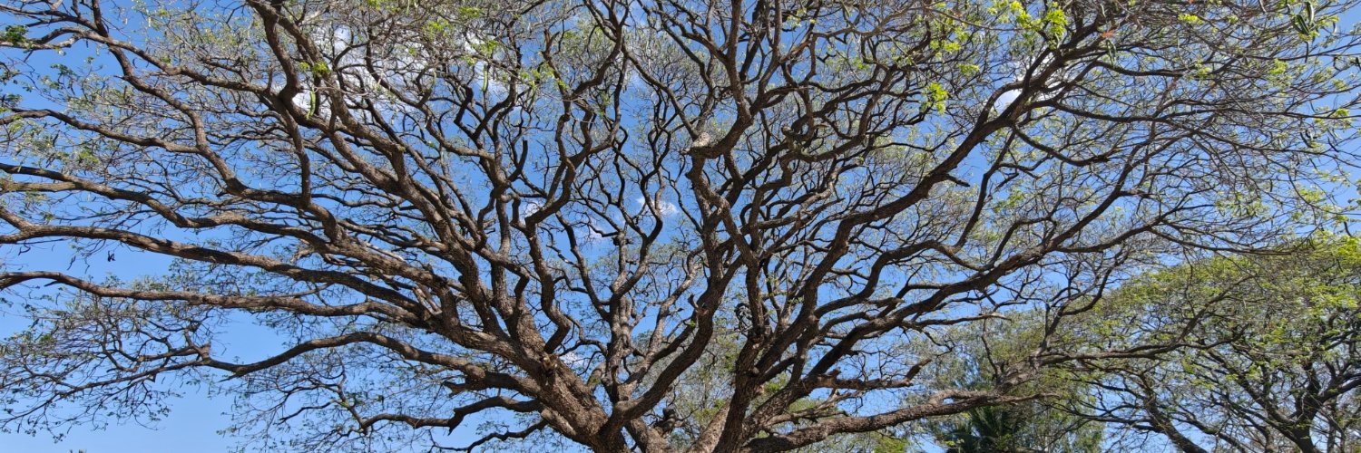 🌊 Hydration Check banner