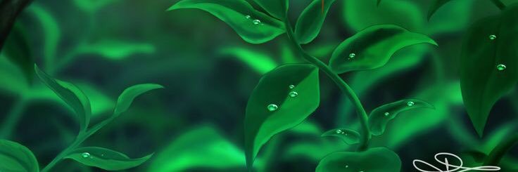 maxwell_silas's profile banner image