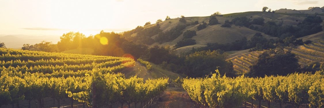 SummitFineWines's profile banner image