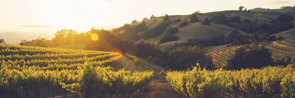 SummitFineWines Profile Banner