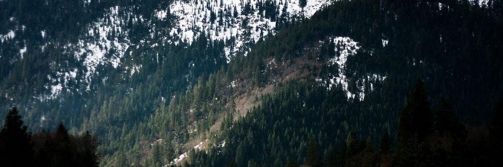 Даша Дафна banner