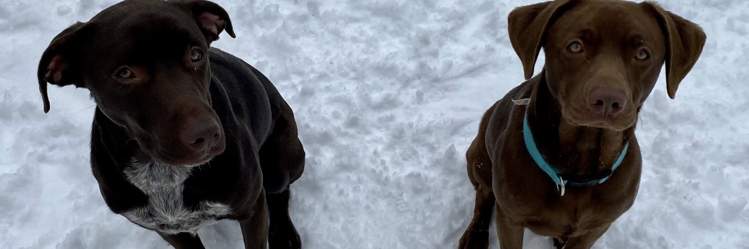 TheLoganDavid's profile banner image