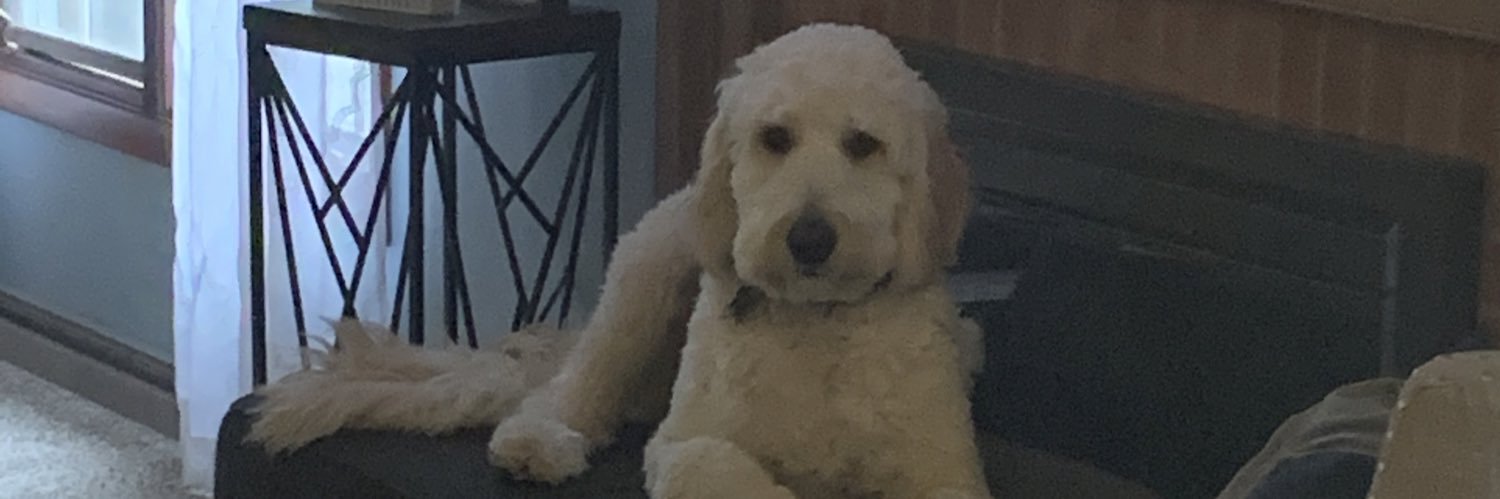 agbrown32's profile banner image