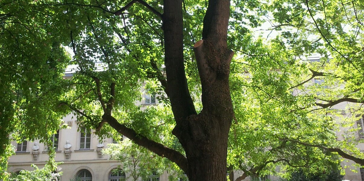 emilie_mrld's profile banner image