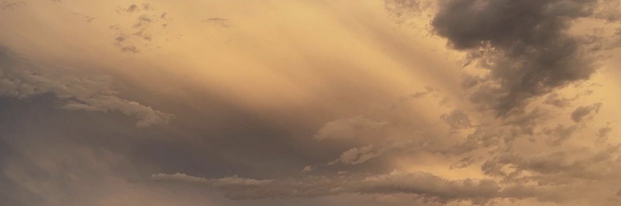 HONEY banner