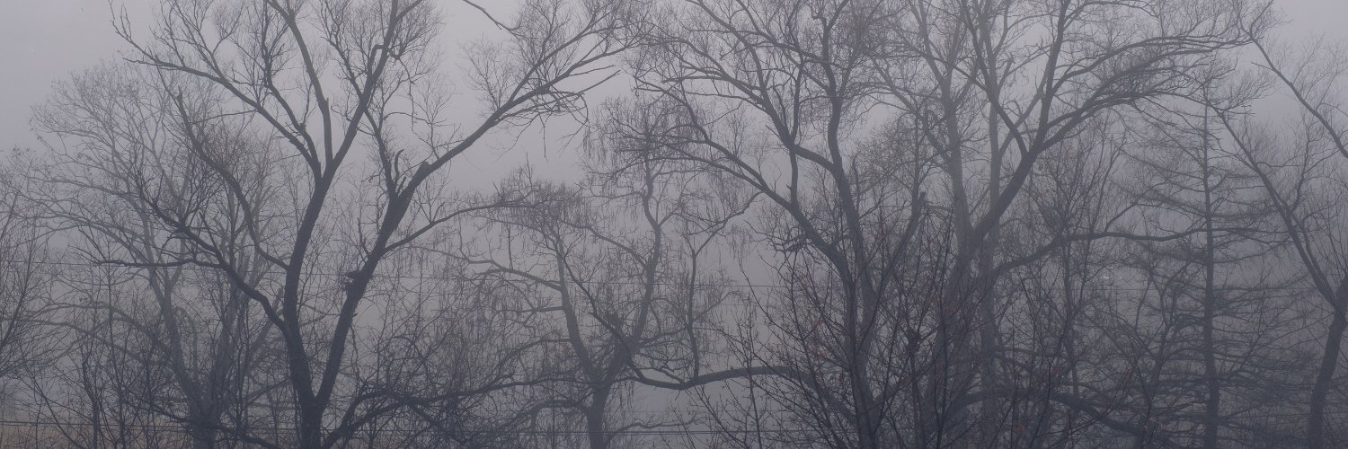 alsoPatrick's profile banner image