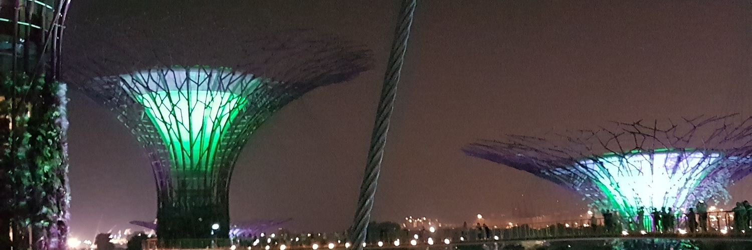 bugsinx's profile banner image