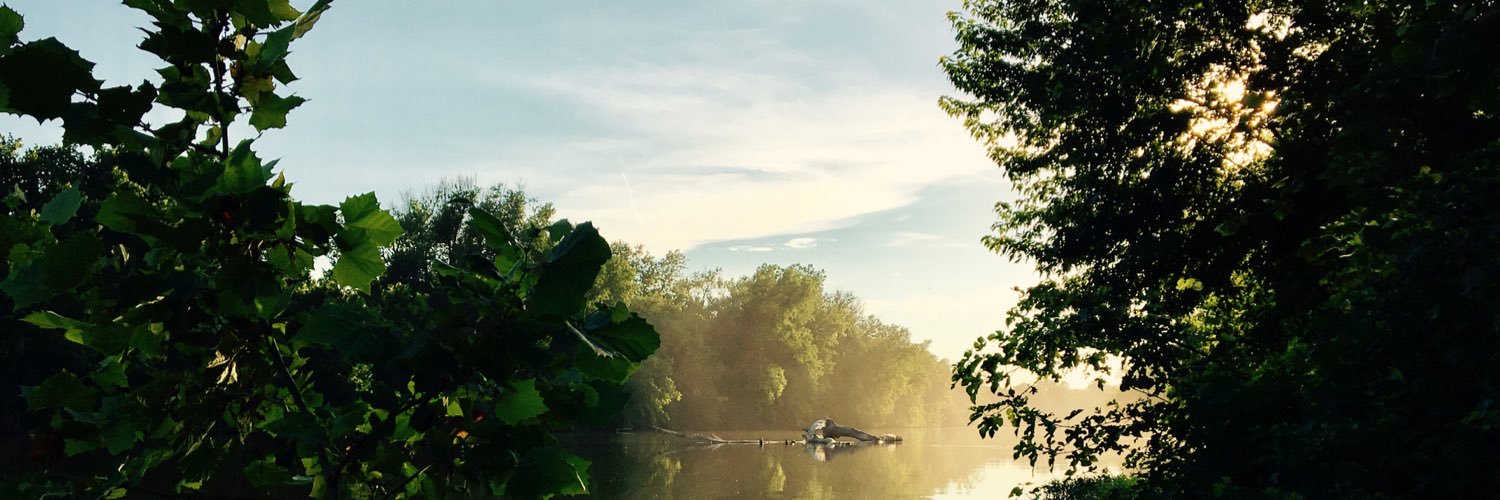 dannyreckless's profile banner image