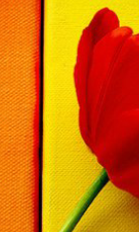 ana_molek's profile banner image