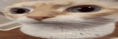JiaRio's profile banner image