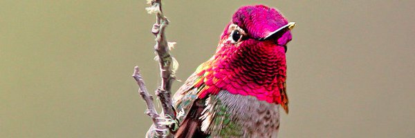 GCLDETE Profile Banner