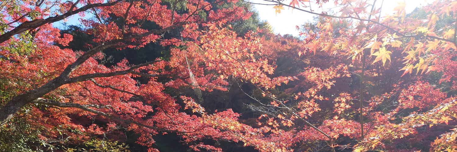 cha_zen_'s profile banner image