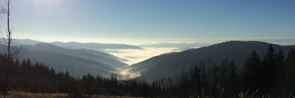 JanMiskovsky1's profile banner image
