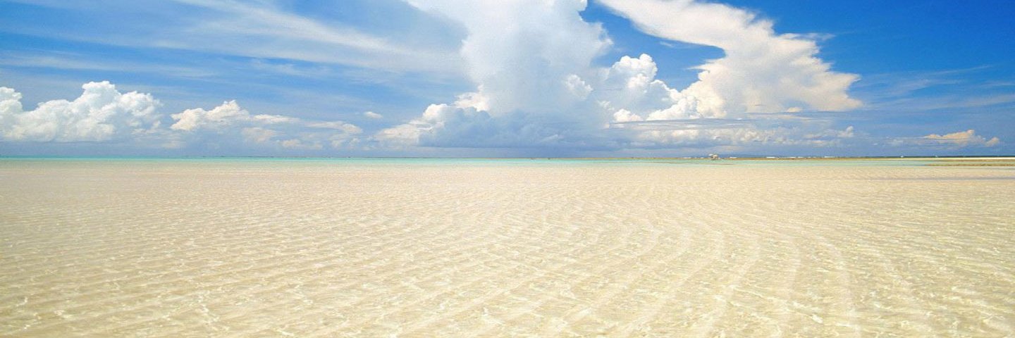 Ryan M. Carroll banner