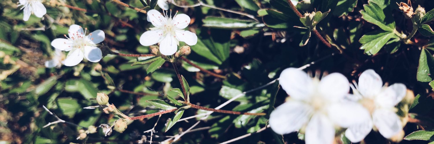 paysonadrianna's profile banner image