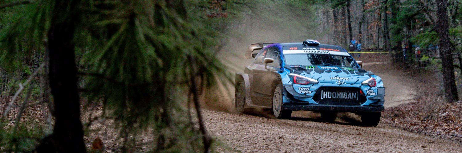 Rally in the 100 Acre Wood banner