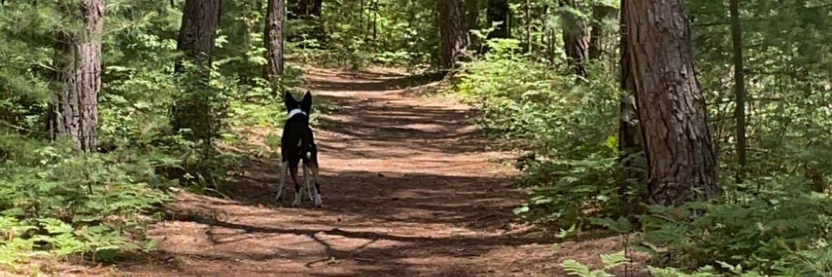 Michael Roberts banner