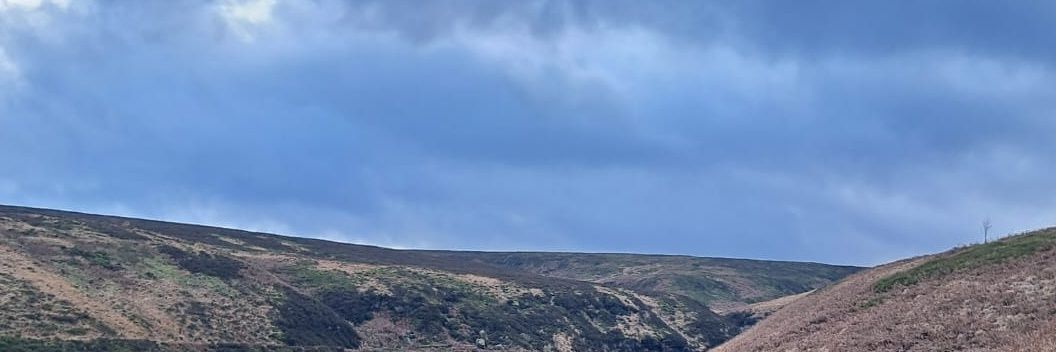 Training delivery to Primary Care banner