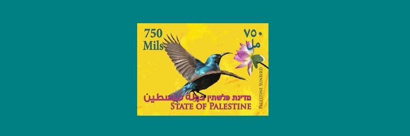 Tim O'Connell 🇯🇴 banner