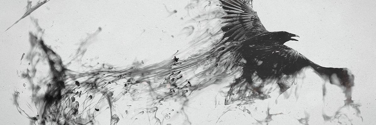 Diegous97's profile banner image