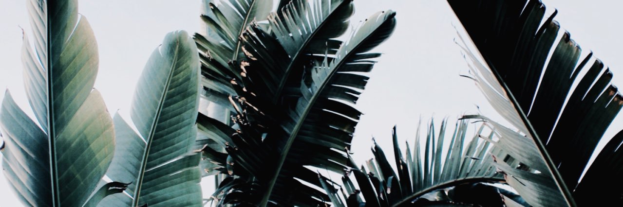tyvonnnn's profile banner image