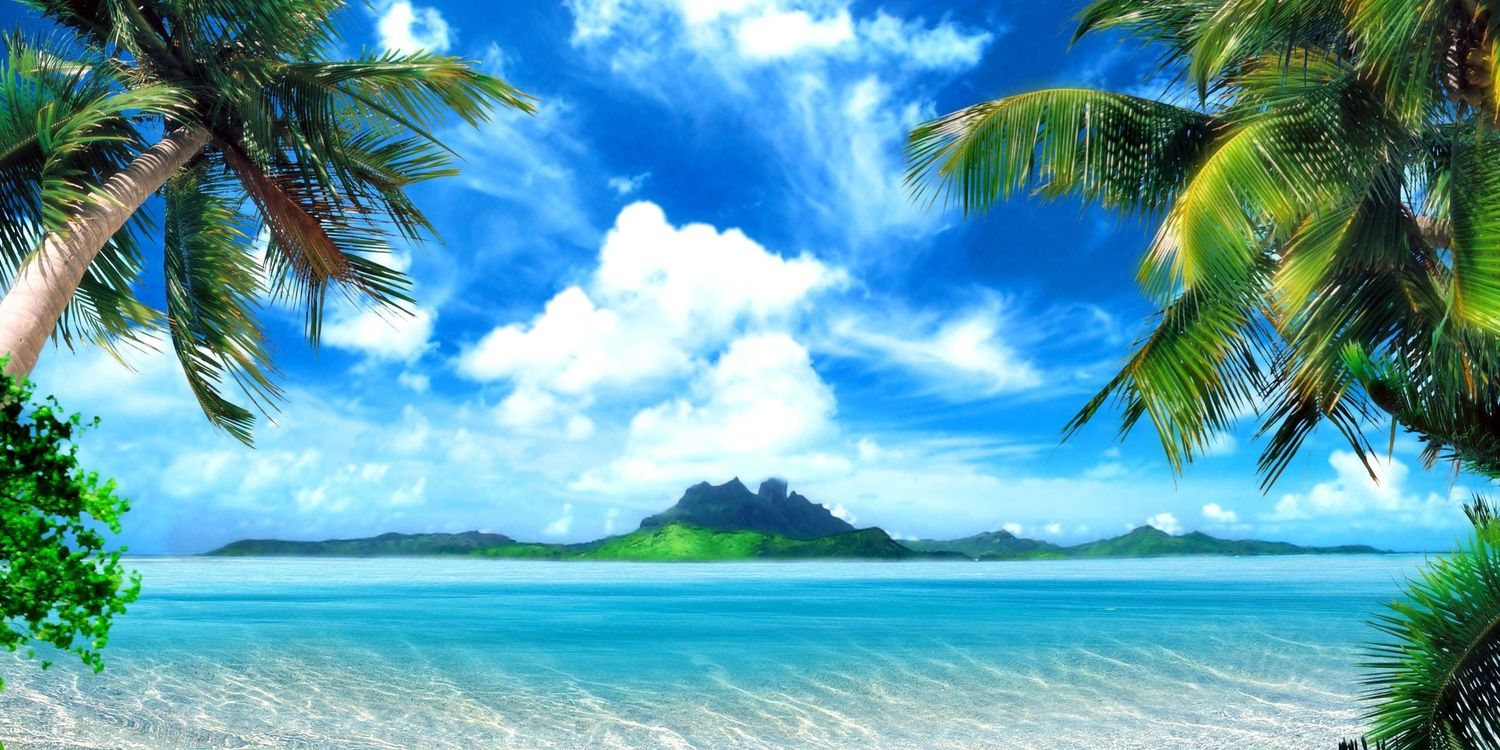 SiemprTU's profile banner image