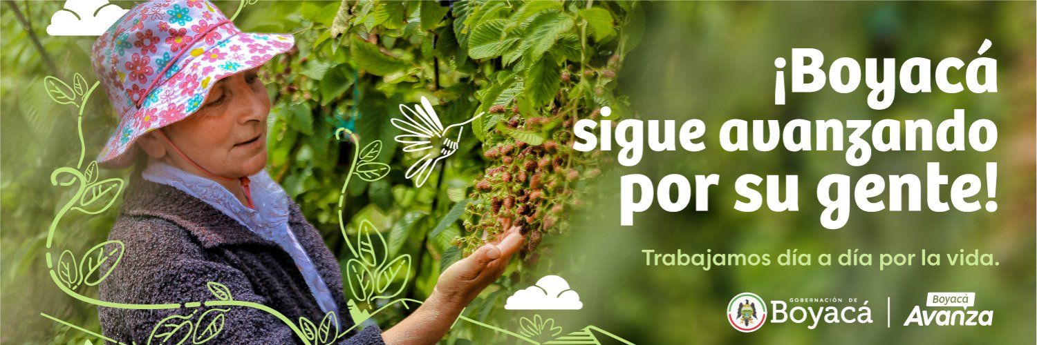SegundoChaparro's profile banner image