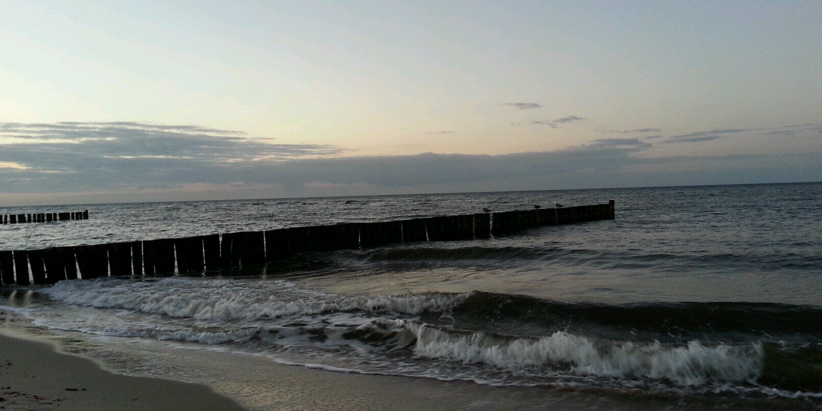 Strandfee1's profile banner image
