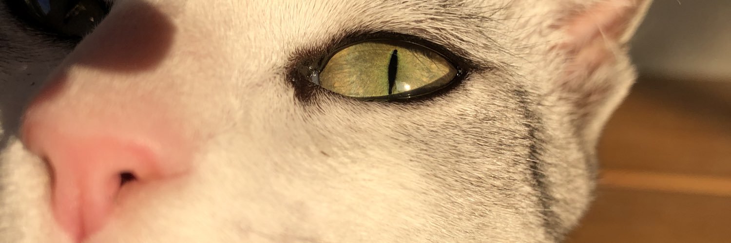 _giulianaf's profile banner image