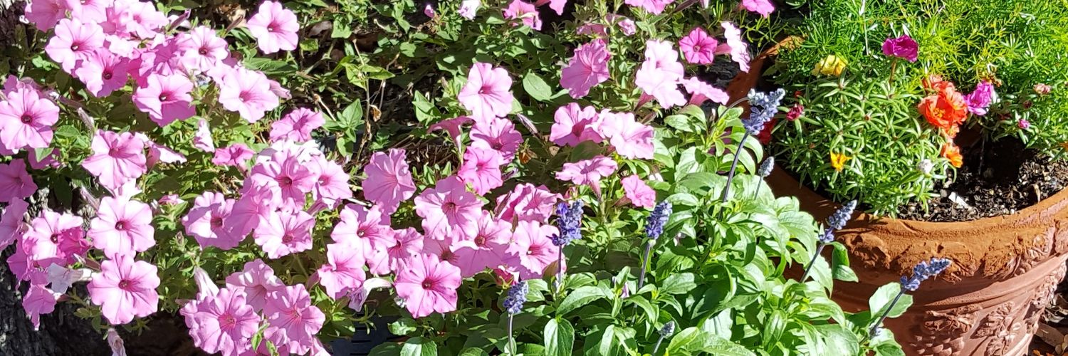 Elaine Gantz Wright banner