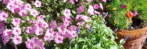 ellagantz Profile Banner