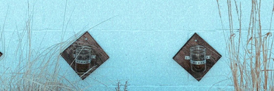 bryce_blackman's profile banner image