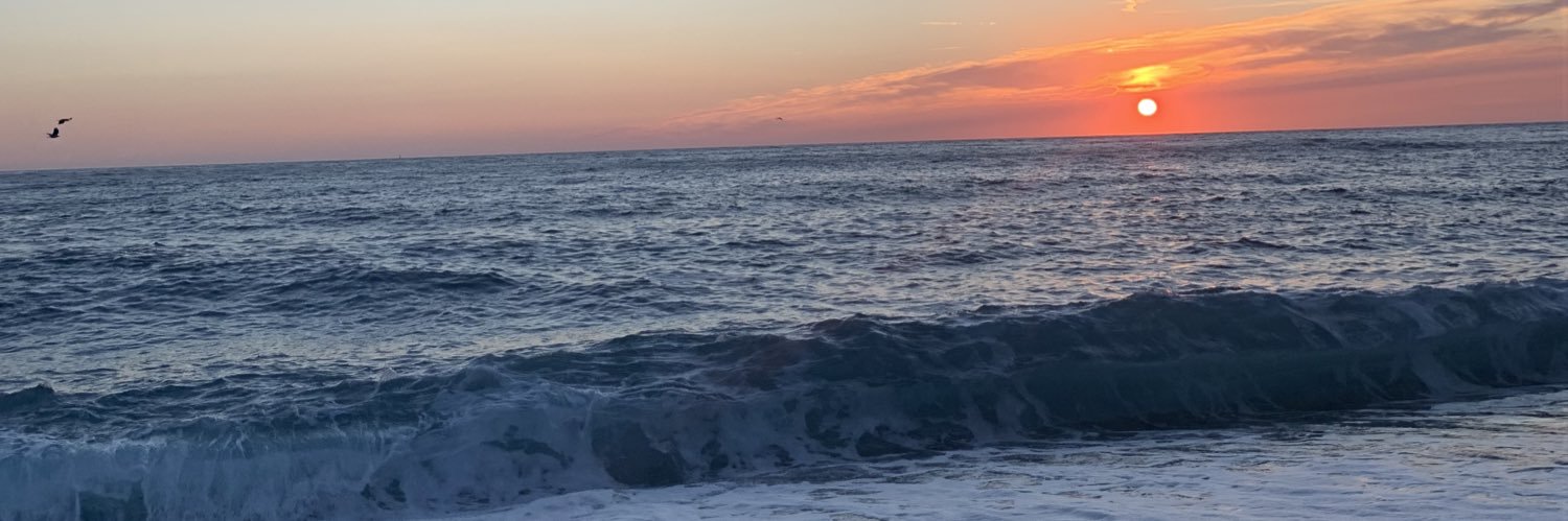 Stromb_'s profile banner image