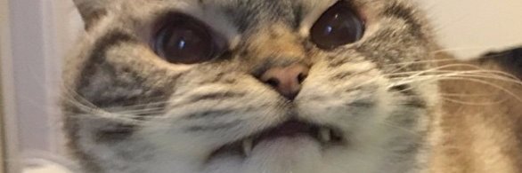Michaellaneous's profile banner image