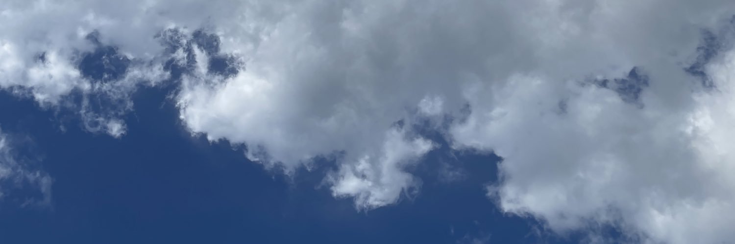 gamzeesungu's profile banner image