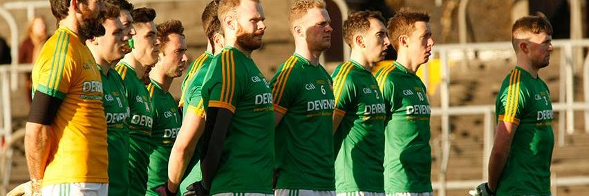 Hoganstand Meath banner