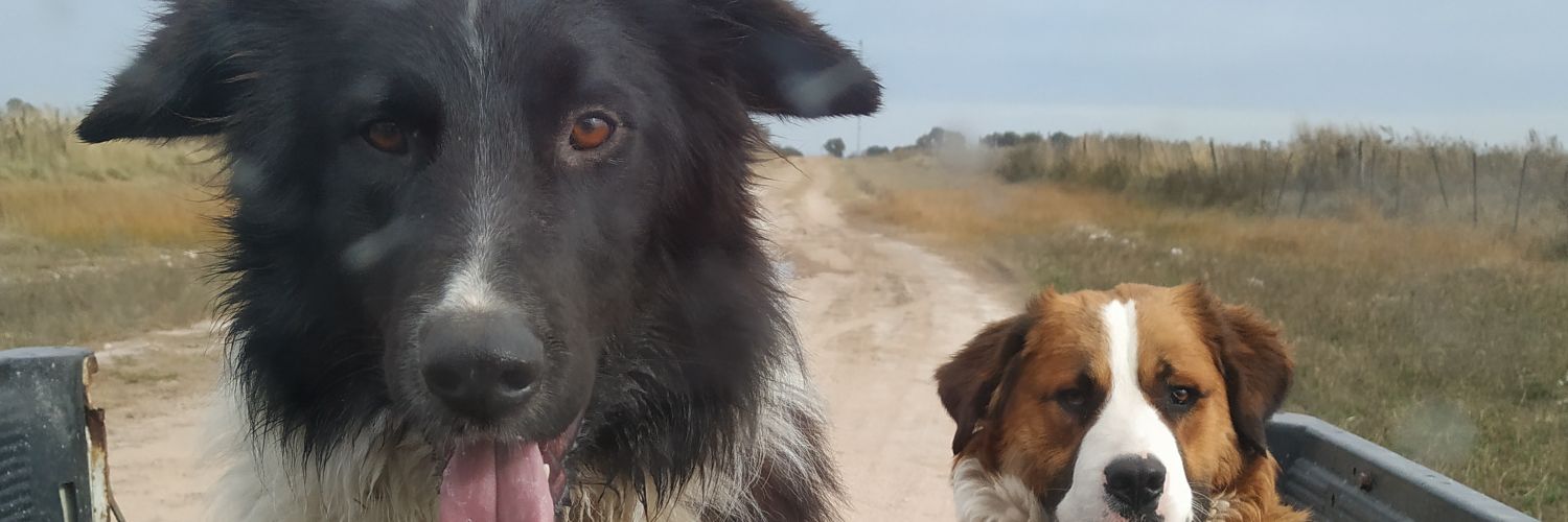 LeaNSchwindt's profile banner image