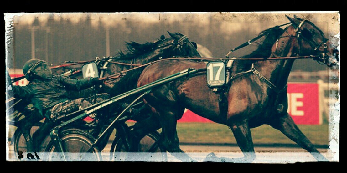 Robert Hansson banner