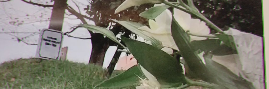 a01_ymd's profile banner image