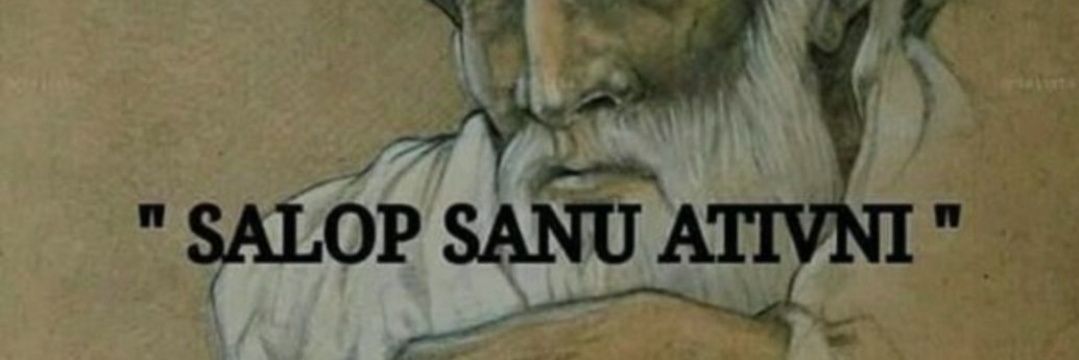 niunfollower21's profile banner image