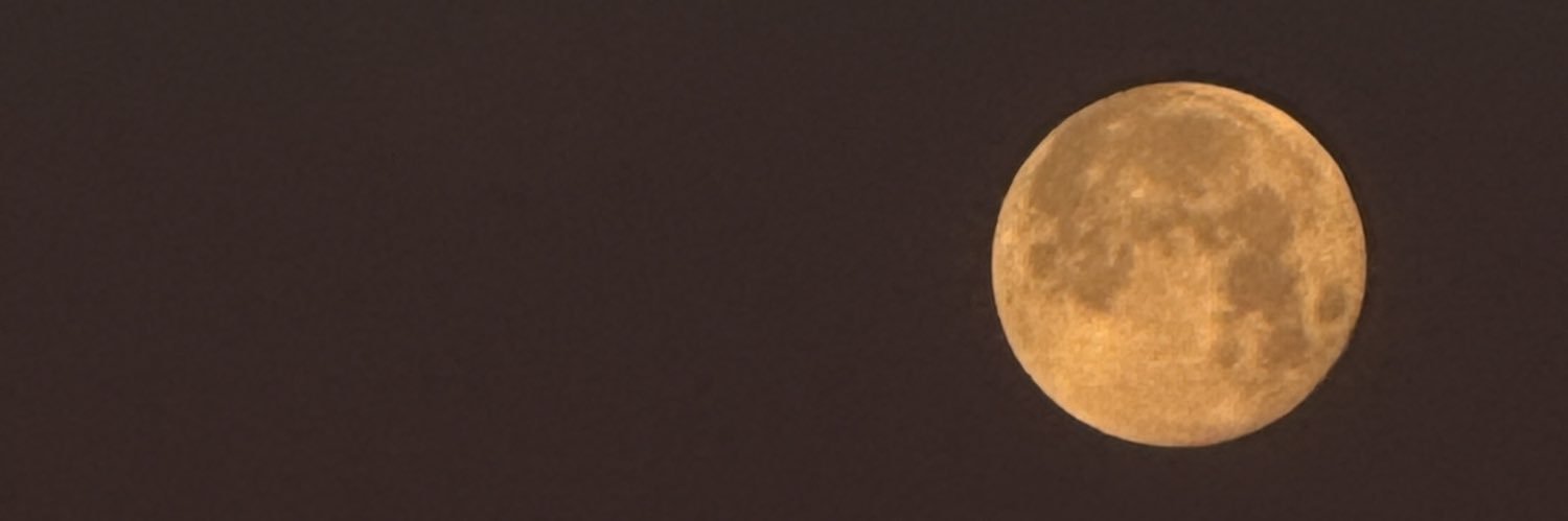 insley_'s profile banner image