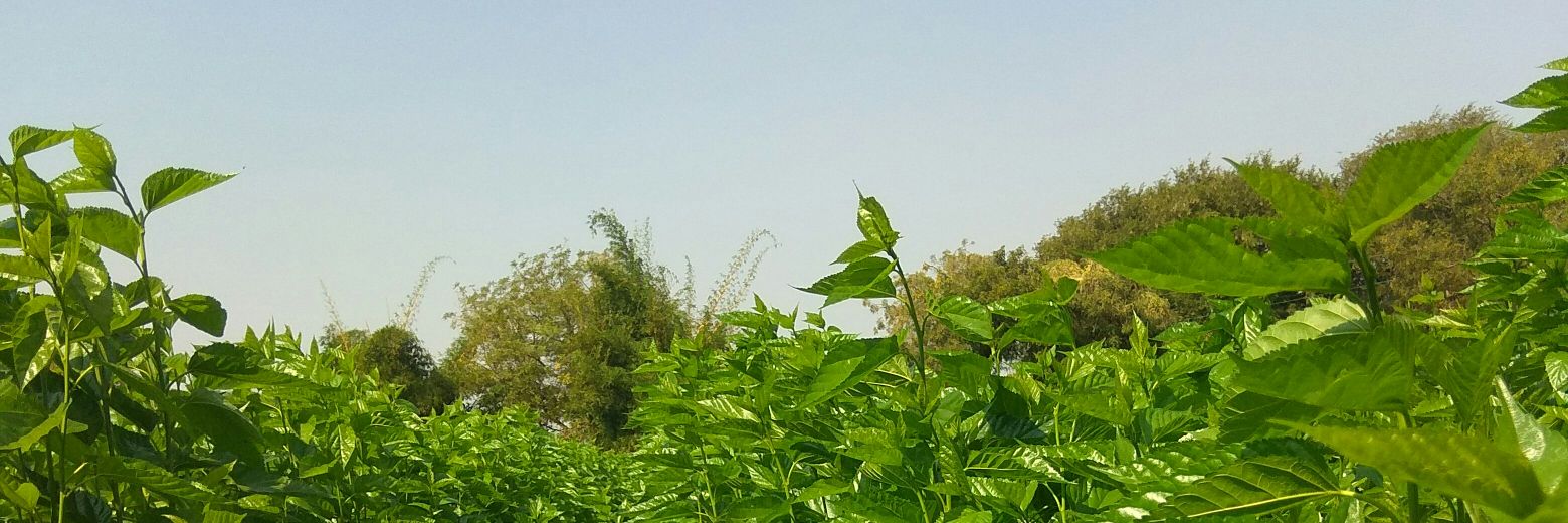 naguprabhas's profile banner image