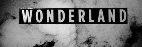 ErinWard33's profile banner image