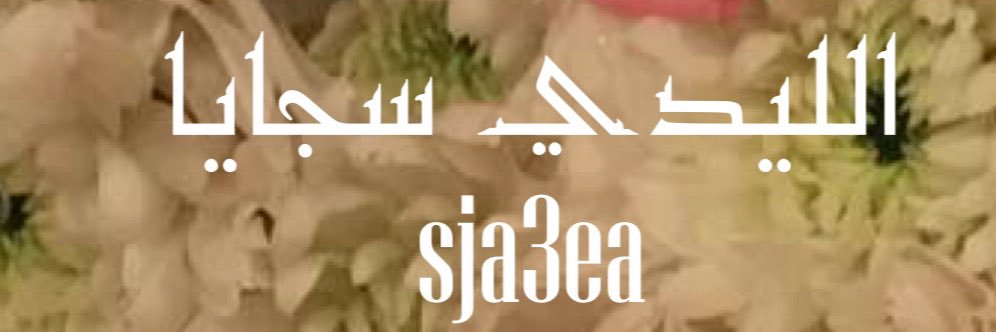 sja3ea's profile banner image