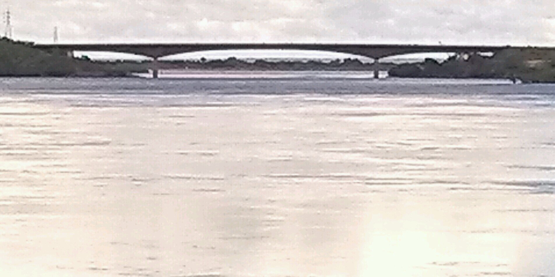 tomemosron's profile banner image