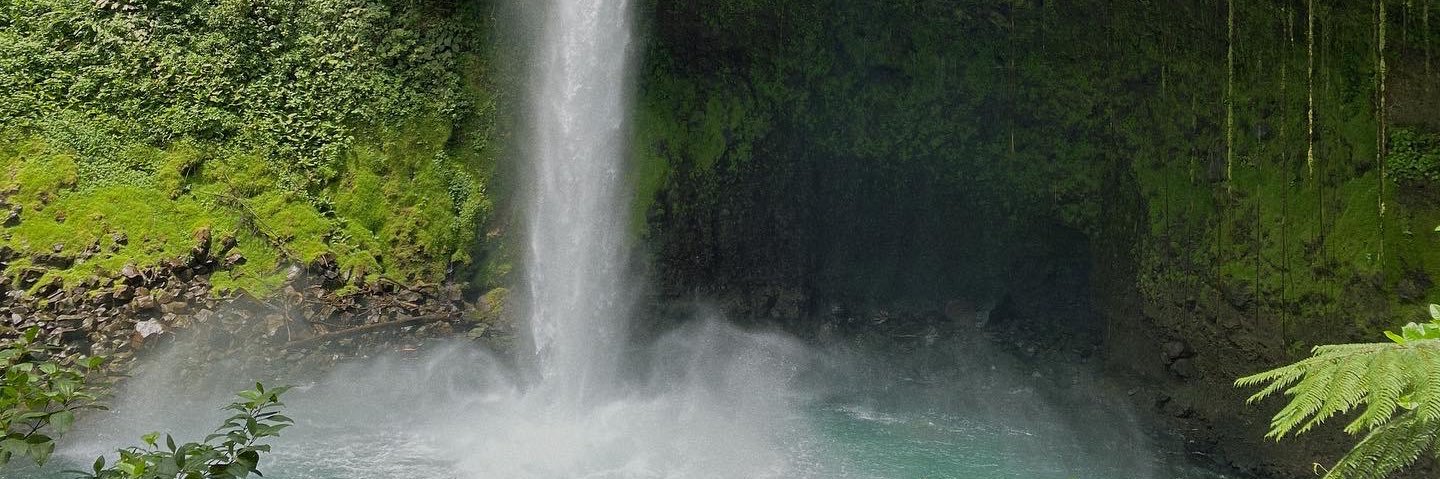 erinmcg8's profile banner image