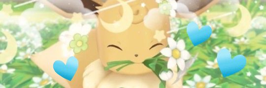 yunyoungah's profile banner image