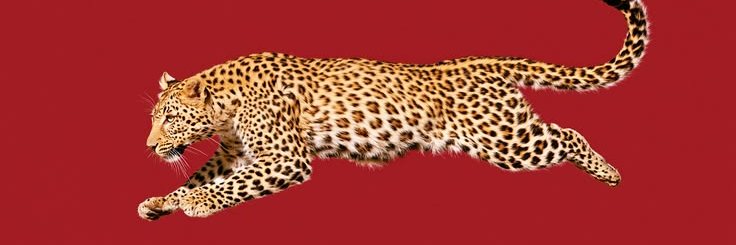 CentoxCentoITA's profile banner image