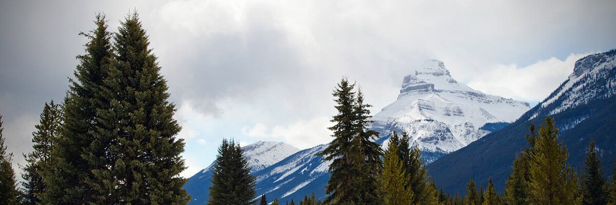 Jim West 📚☕️✍️📖 banner