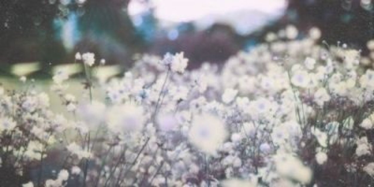 jbiebsmafia's profile banner image